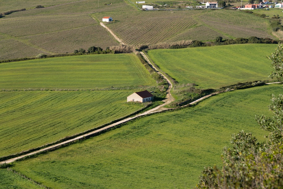 Land use