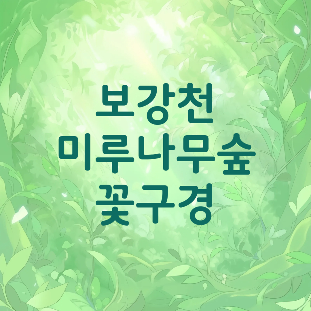 증평 보강천 미루나무숲