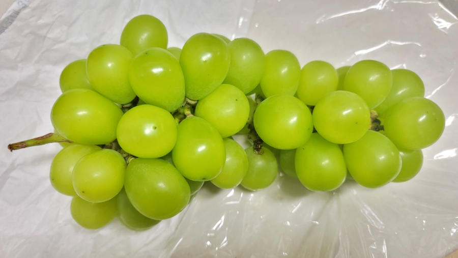 포도 효능 부작용