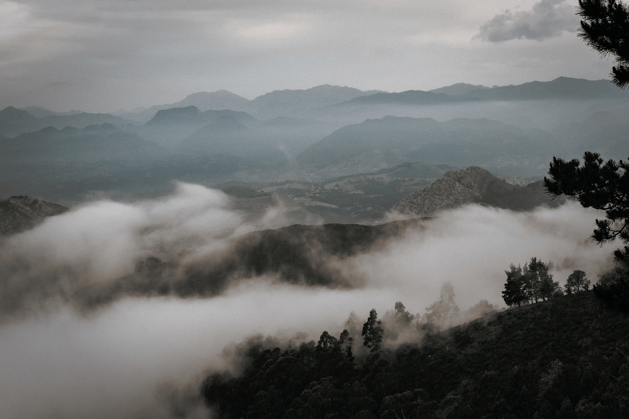 양평 두물머리 새벽 힐링 여행