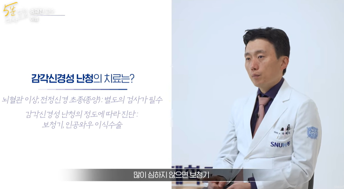 감각신경성 난청의 치료