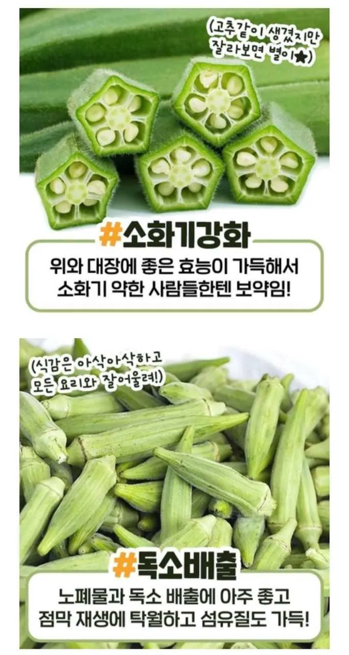 오크라 효능 재배법 손질 수확 요리 보관까지 한눈에 보기_1
