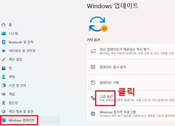 우측 메뉴에 고급 옵션 메뉴 보임