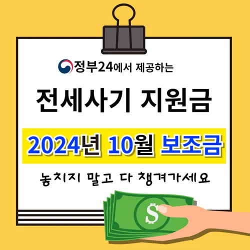 전세사기 정부 지원금