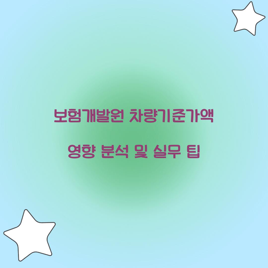 보험개발원 차량기준가액