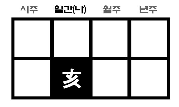 일지가 해수인 사주