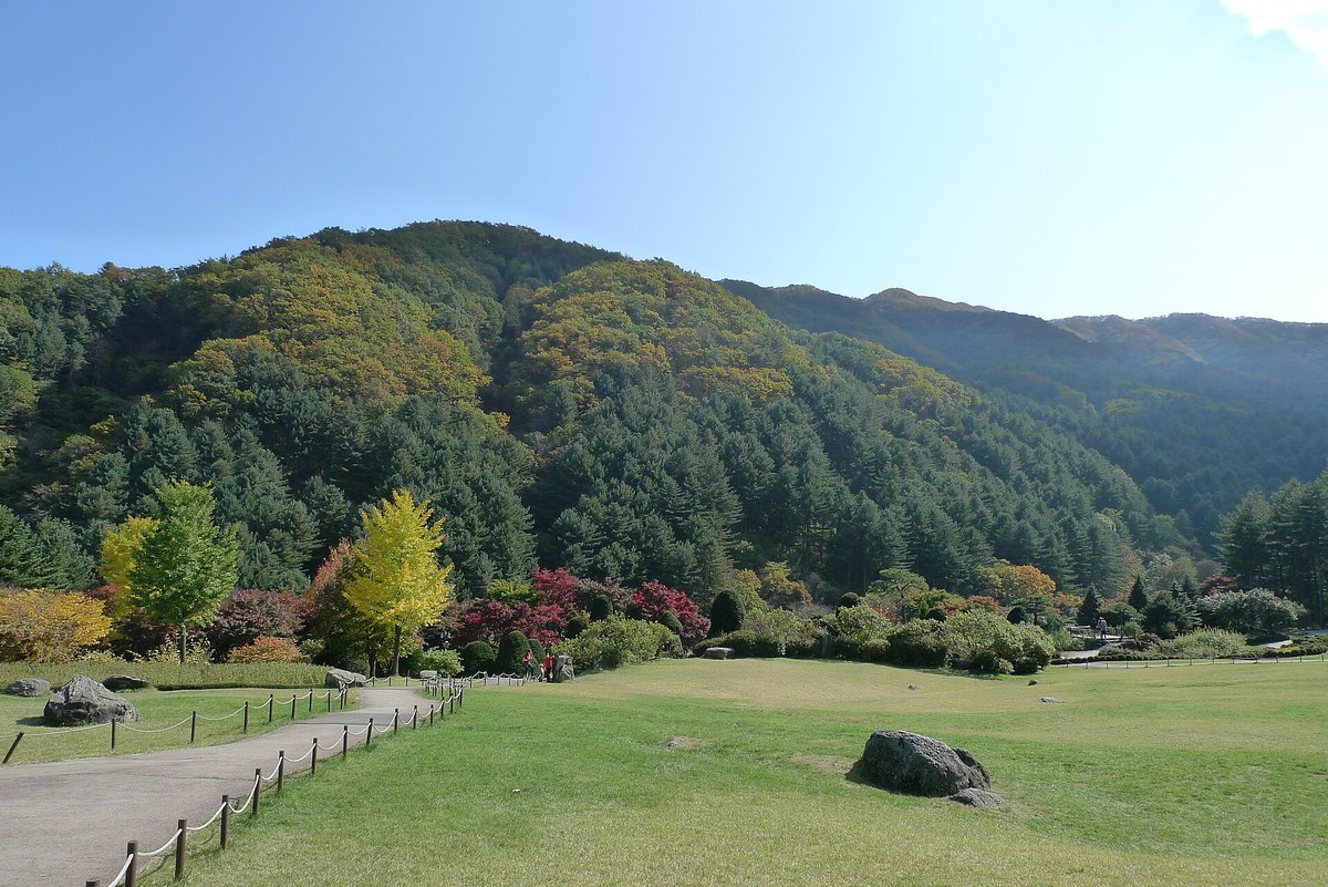 The wide lawn and footpath at the Garden of Morning Calm in Gapyeong on a clear autumn day, with forested hills behind