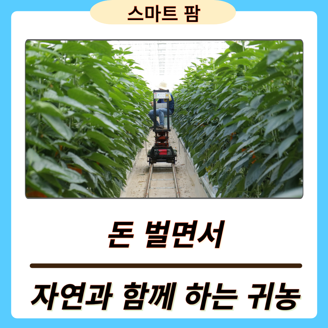 돈 벌면서 자연과 함께하는 귀농 추천 직업