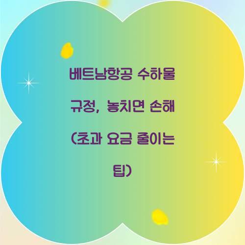 베트남항공 수하물 규정