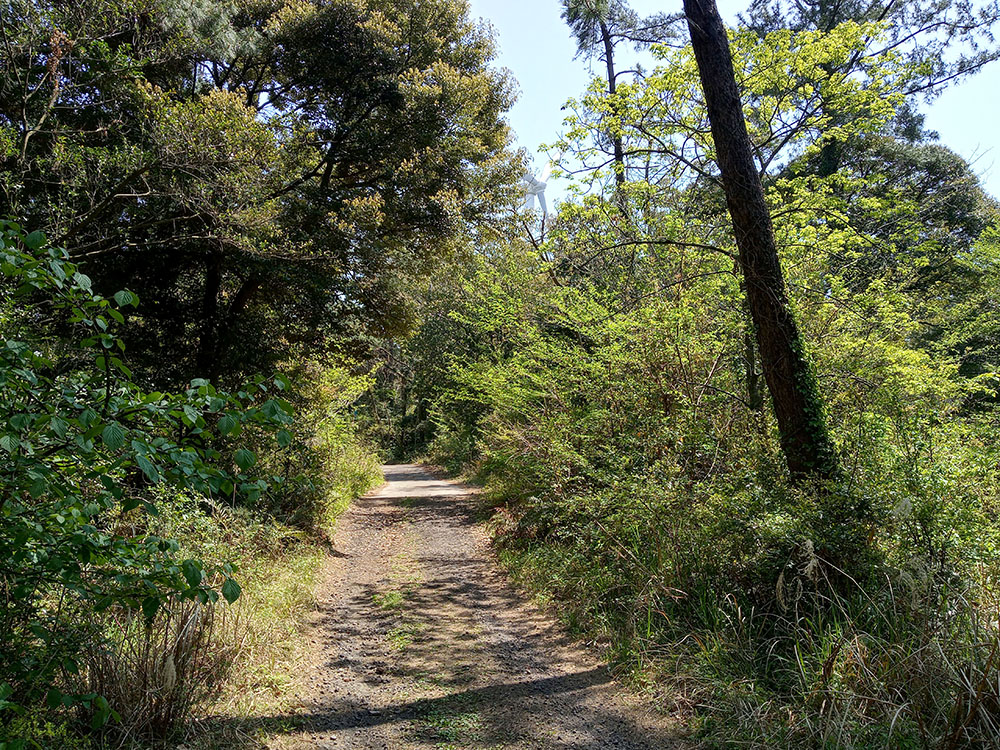올레길 19코스: 벌러진동산