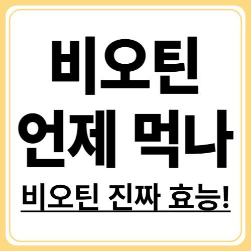 비오틴 효능 총정리! 탈모와 피부에 진짜 효과 있을까?