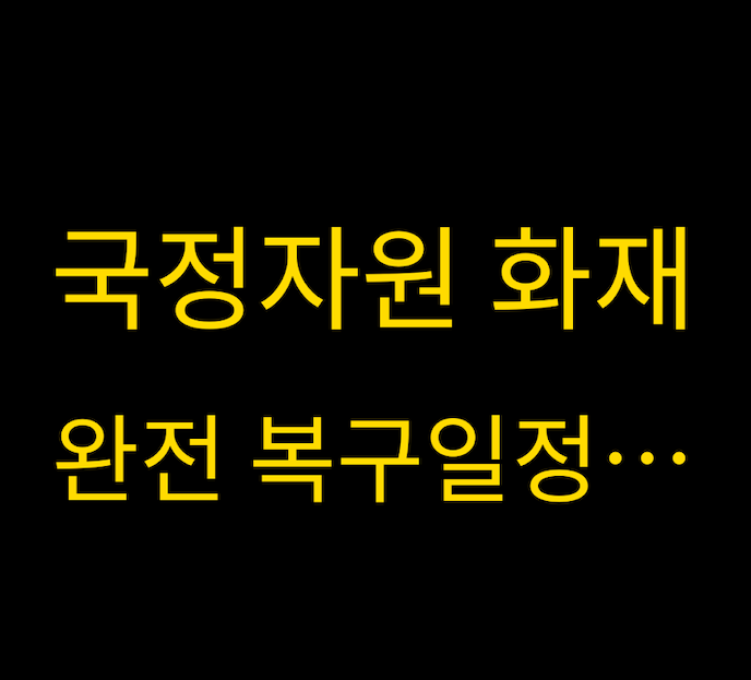 국정자원 화재 복구일정