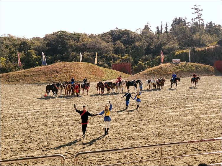 더마파크-기마공연3