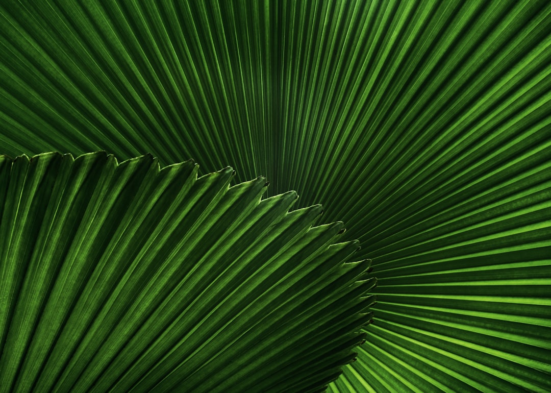 foliage