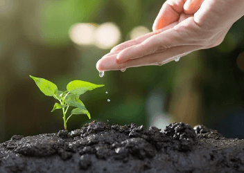 기초생활수급자 자격요건