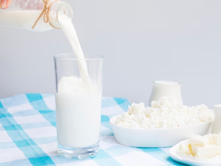 단백질 많은 음식