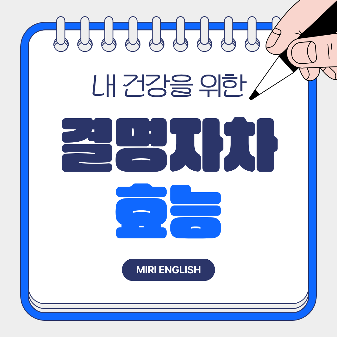 결명자차 효능 완벽 가이드 ❘ 눈·장·간·체중 관리까지 한 번에