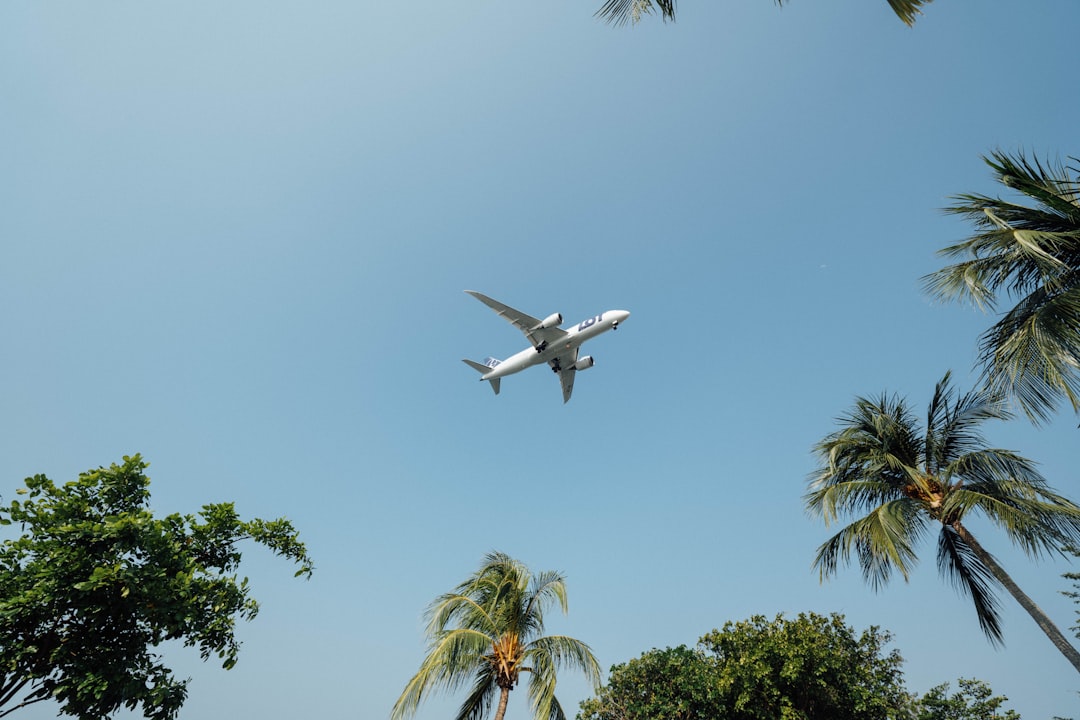 Flights