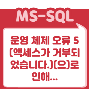 운영 체제 오류 5