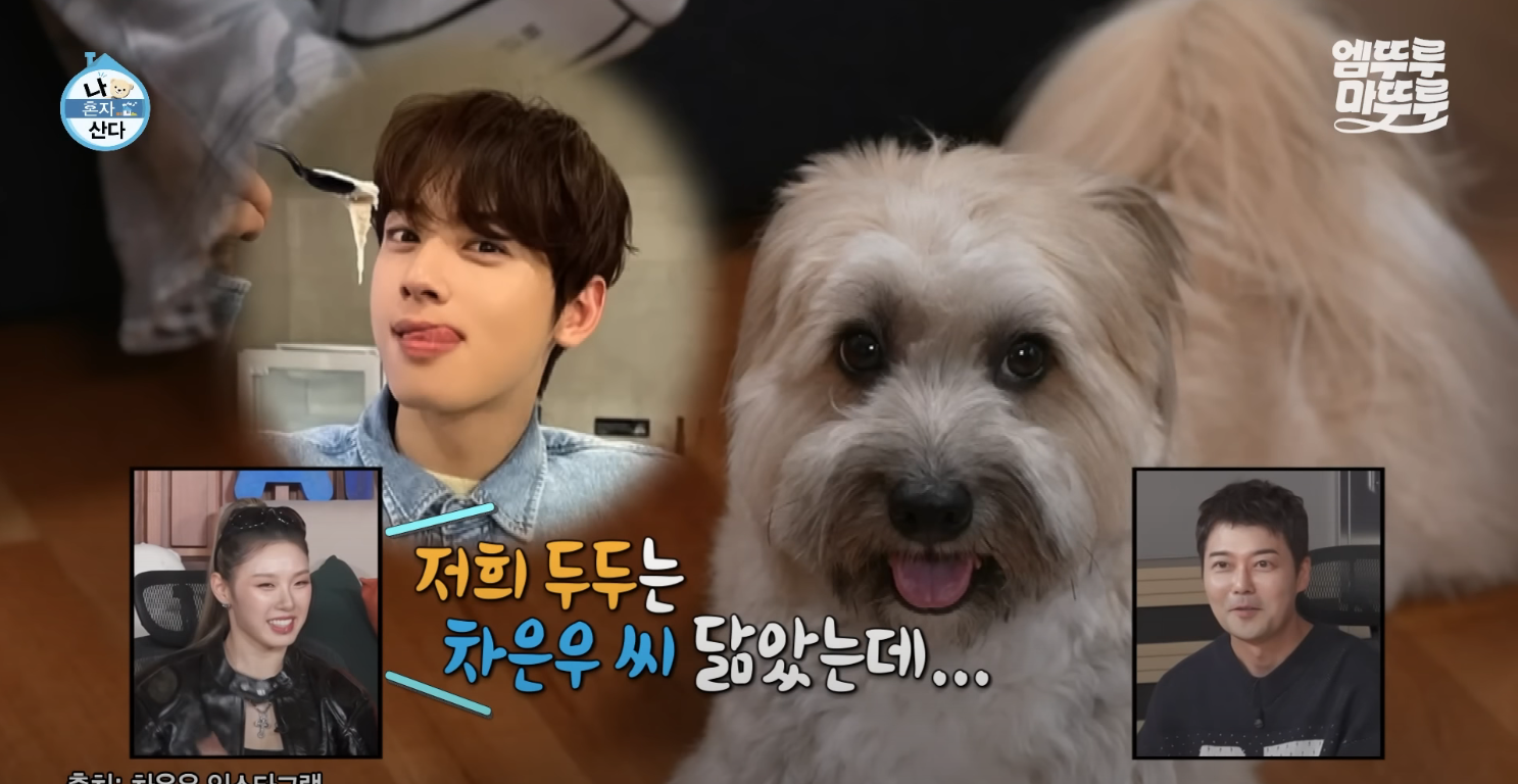 리정집,리정 아파트 위치,나혼자산다 리정집,리정 인테리어,리정 노윤서,리정 두두