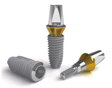 임플란트 시스템 부문