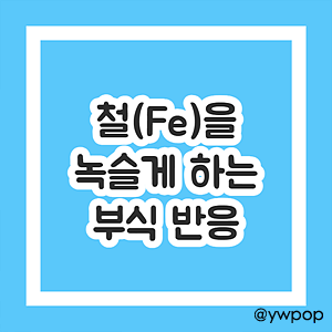 철을 녹슬게 하는 부식 반응