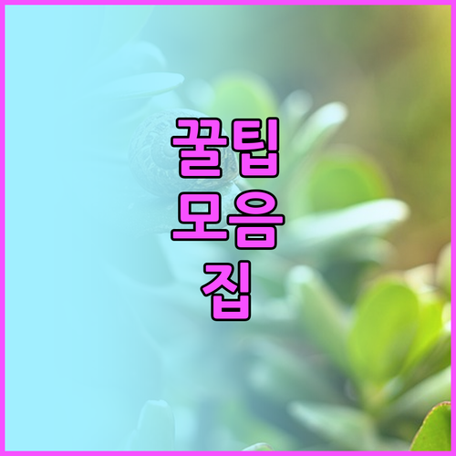 2025 평생교육바우처: 배움의 기회