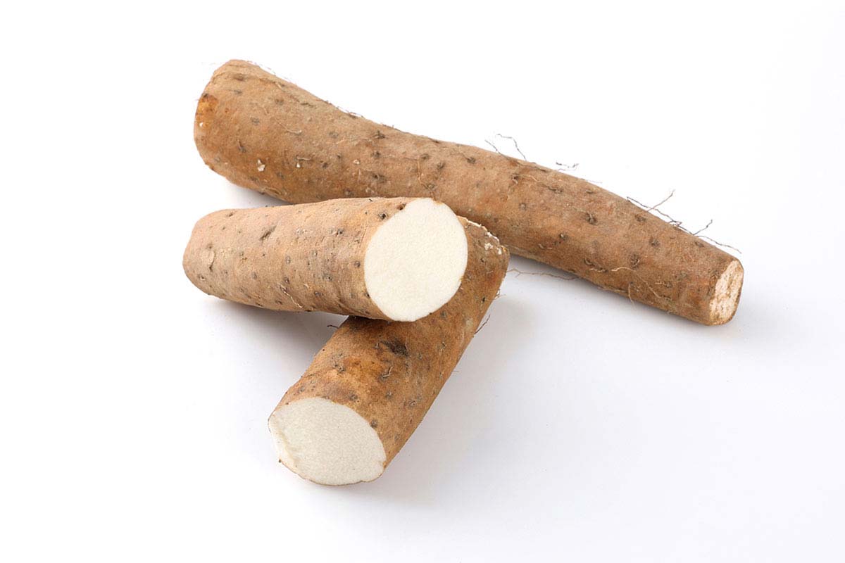 끈적끈적한 마 사진