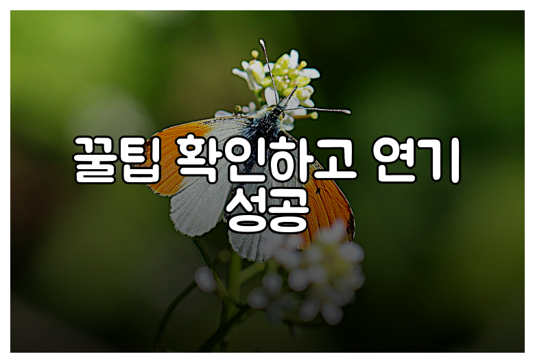 꿀팁 확인하고 연기 성공
