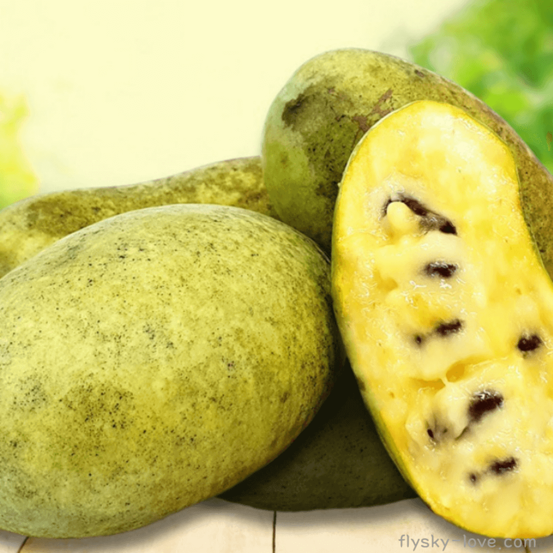 포포나무(pawpaw), 포포나무 열매