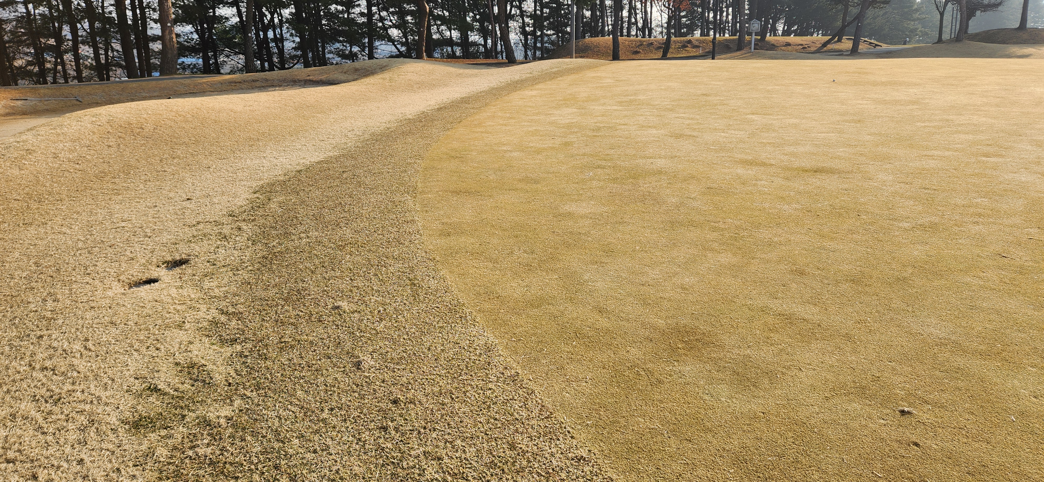 임페리얼레이크cc