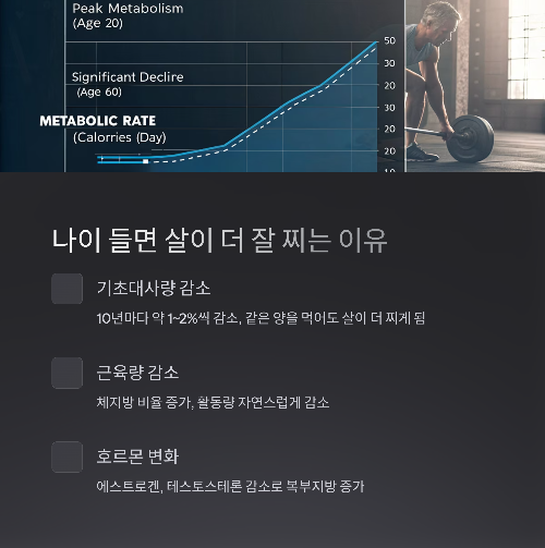 나이 들면 살이 더 잘 찌는 이유