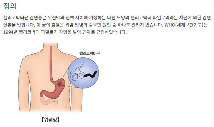 헬리고박터균