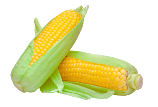옥수수