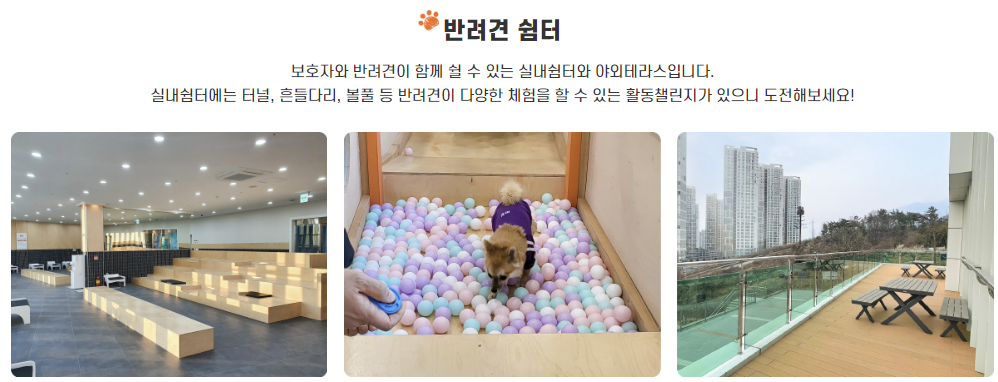 울산 애니언파크