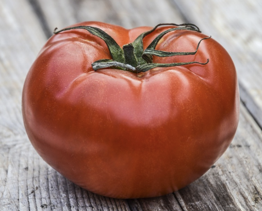 유방암에 좋은음식 16