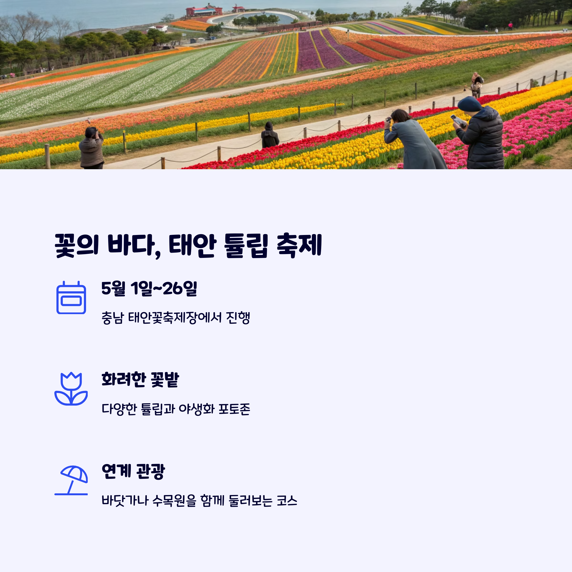 태안튤립축제