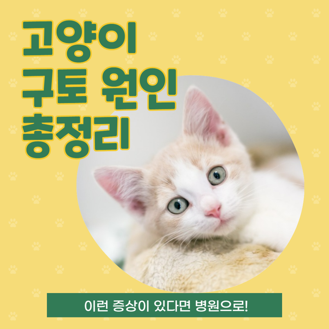 고양이 구토 원인