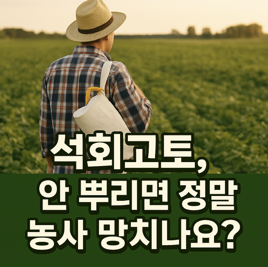 석회고토, 안 뿌리면 정말 농사 망치나요?
