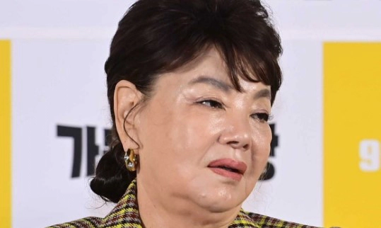 김수미 나이 남편 고향 아들 프로필