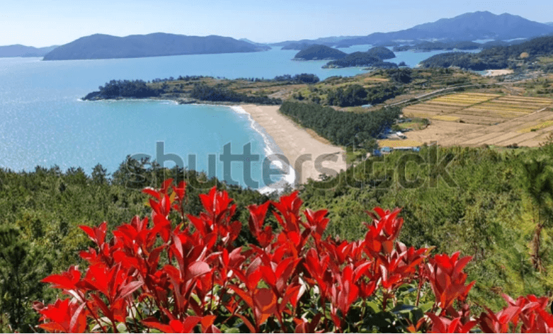 고흥 남열해돋이해수욕장 모습