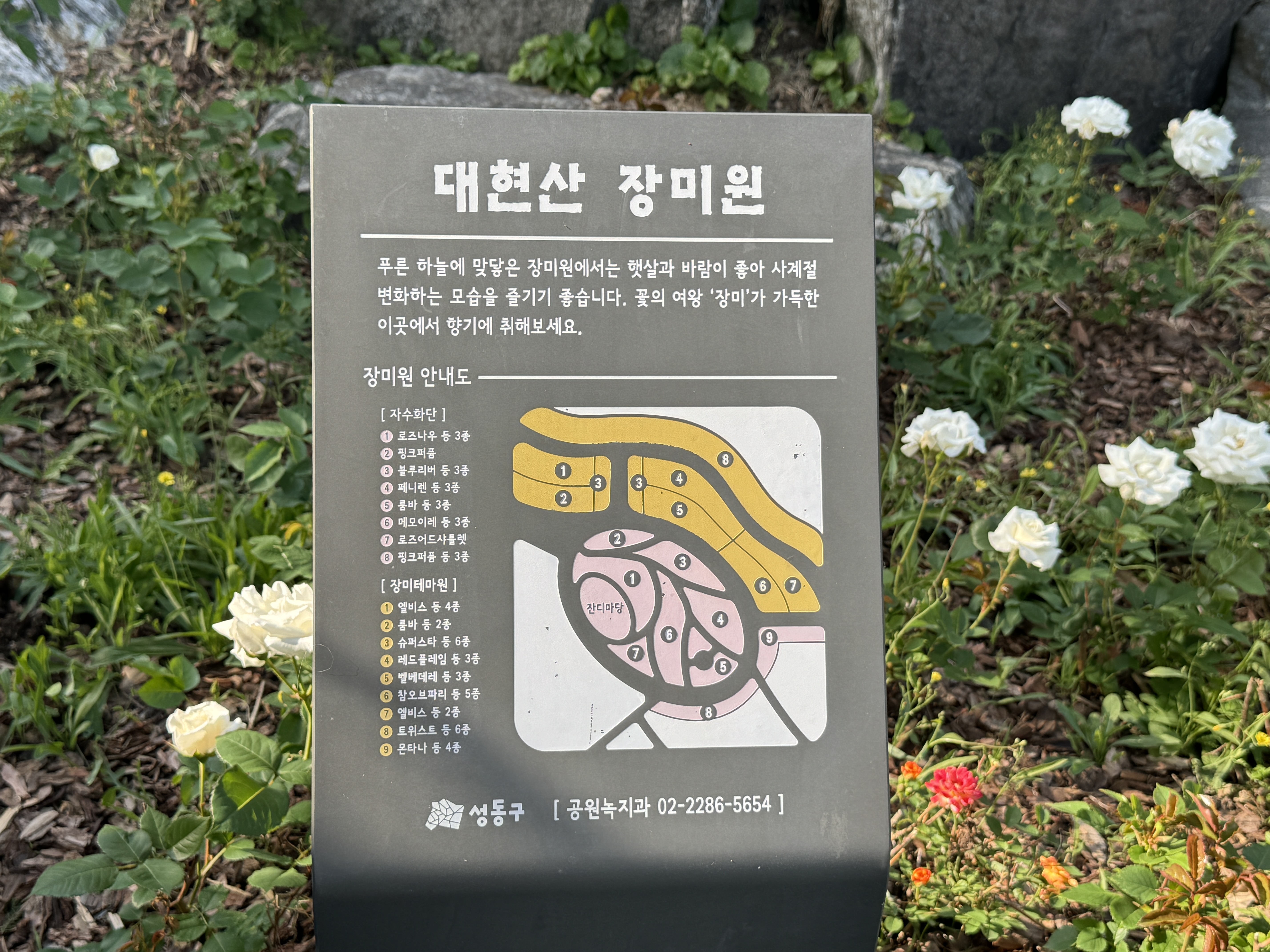 장미원