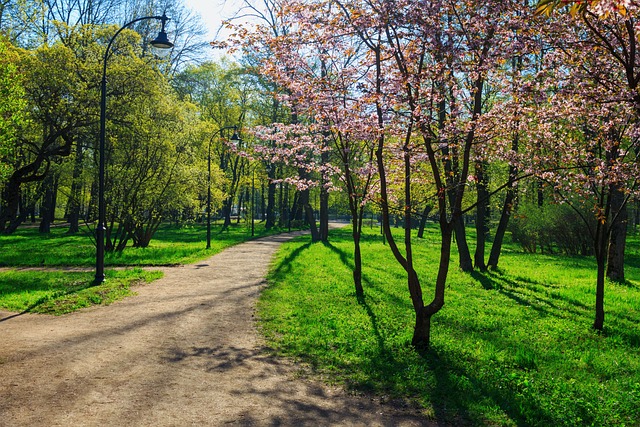 2024년 5월 서울 인천 경기도 날씨 기온 강수량