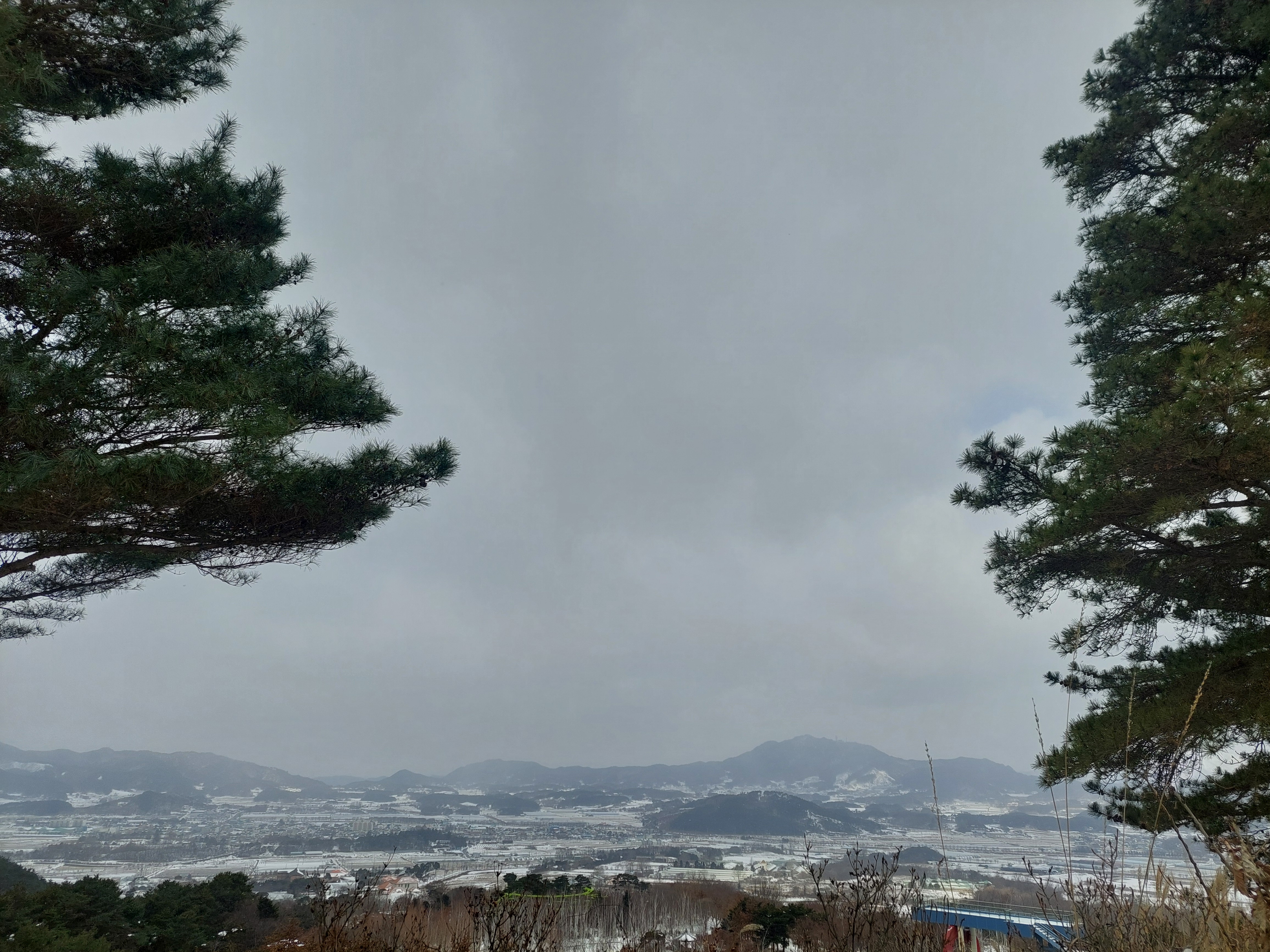 바래봉
