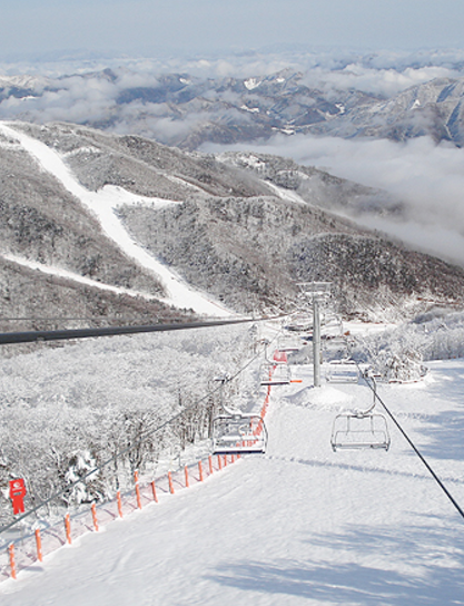 하이원 리조트 스키장