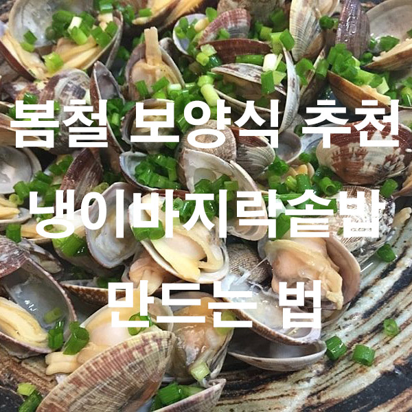 봄철 보양식 추천 냉이바지락솥밥 만드는 법