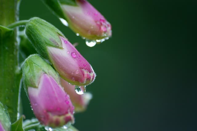 공범이 있는 사건에서 일부 피고인의 진술 거부권 행사와 유죄 입증 한계