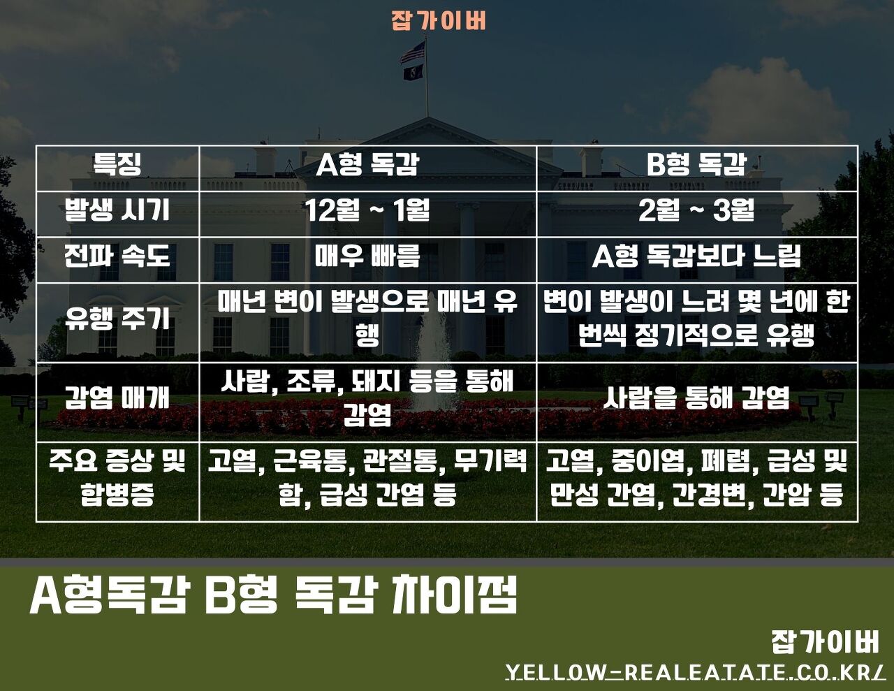 독감 시즌 안내 이미지(유행 시기와 예방접종 권장 시점)