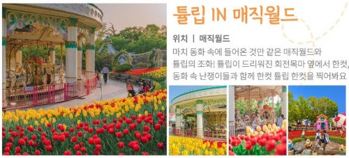 대구_이월드_튤립트래블축제