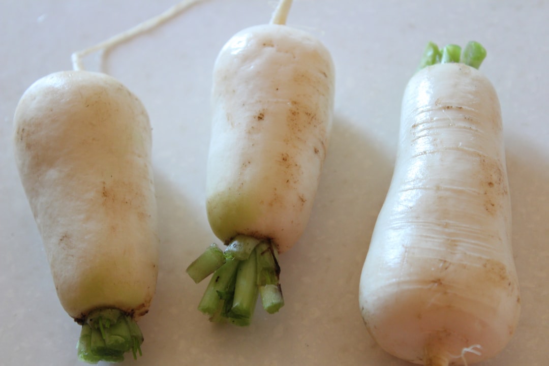 Radish
